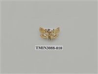 藏品(螟蛾66)的圖片